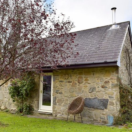 Y Bwthyn Villa Cilgwm Exterior photo